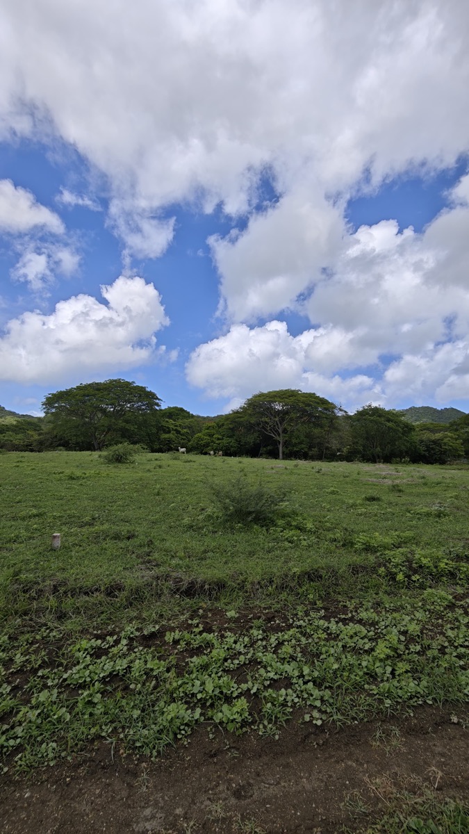 Vista de Lote 50