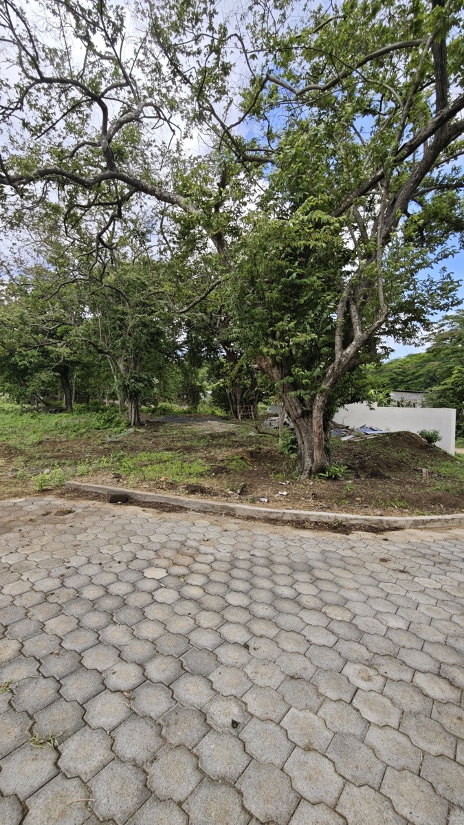 Vista de Lote 71