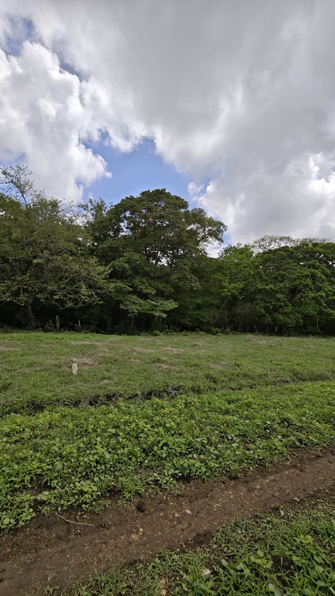 Vista de Lote 99