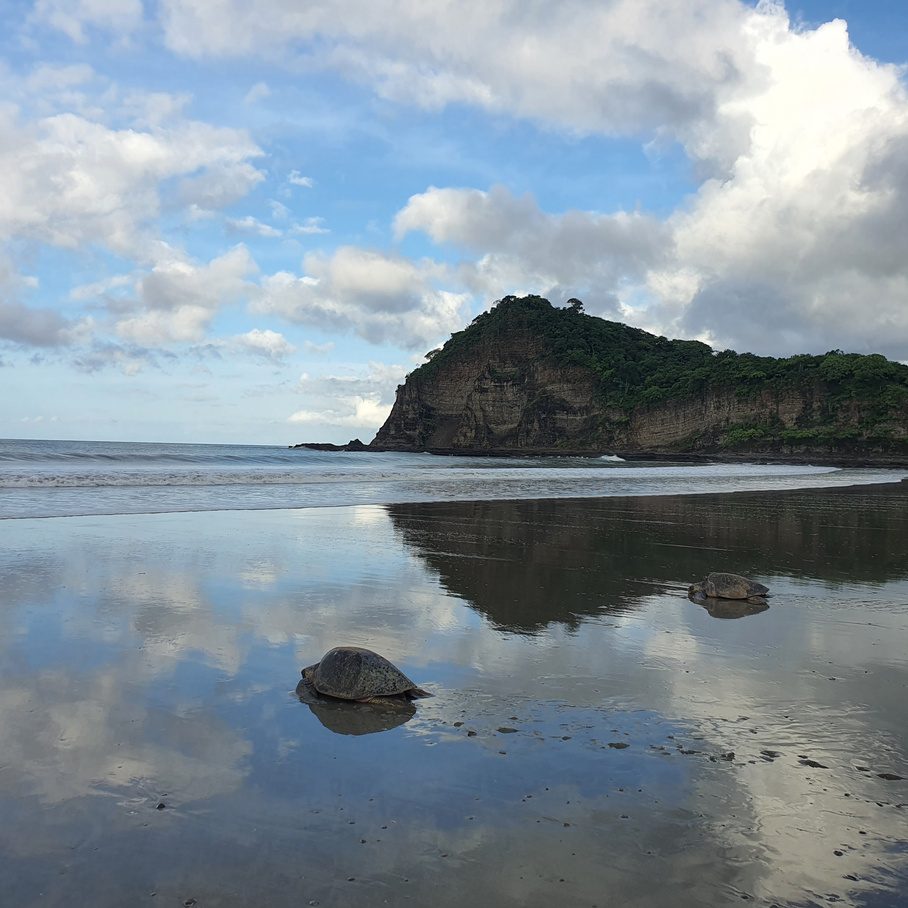 Vista de Lote 26